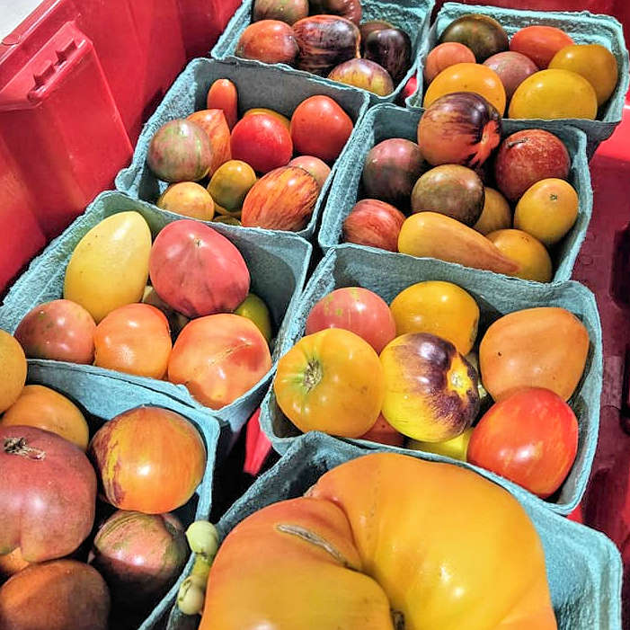 Get produce at Feeding Avery Families Food Pantry