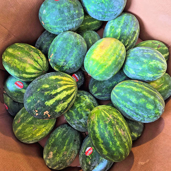 Produce at Feeding Avery Families